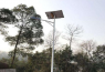 農村太陽能路燈廠家怎么選不被坑